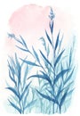 Watercolor illustration of reeds over bright sunrise sky Royalty Free Stock Photo