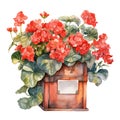 Watercolor illustration of retro vintage mailbox surroundd by red pelargonium geraniums flower blossom. Design element isolated on Royalty Free Stock Photo