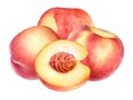 Watercolor illustration with ripe peach fruits