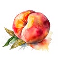 watercolor illustration ripe peach with leaves and splashes, isolated on white background Royalty Free Stock Photo