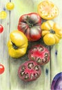 Watercolor illustration of ripe red, yellow and pink tomatoes Royalty Free Stock Photo