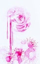 Watercolor illustration of rose flower and abstract pink blob flowers Royalty Free Stock Photo