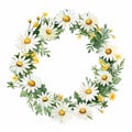 Watercolor illustration round frame with camomile heads. Realistic summer floral hand drawn wreath on white background Royalty Free Stock Photo