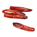 Watercolor illustration. Sausage, sausages to beer. Royalty Free Stock Photo