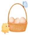 Watercolor illustration of a scene featuring a woven basket filled with eggs and a small yellow chick. for delightful and festive Royalty Free Stock Photo