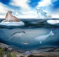 watercolor illustration of sea landscape, underwater world, blue sky, iceberg, narwhal, walrus, wale, cod, crab Royalty Free Stock Photo