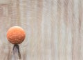 Sea lion, scientific name Otariinae, balances a basketball on hi Royalty Free Stock Photo