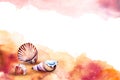 Watercolor illustration of a sea shells on a beach. Royalty Free Stock Photo