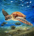 Watercolor illustration of a sea turtle swimming in the blue sea water Royalty Free Stock Photo