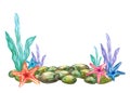 Watercolor illustration, seabed, algae, starfish, fauna, flora