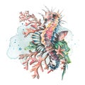 Watercolor illustration of a seahorse with corals, shells. Tropical composition for decoration, design and decoration of Royalty Free Stock Photo