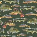 Watercolor illustration, seamless pattern with fresh fishes, perch, pike, Crucian fish, carp, grayling animal isolated Royalty Free Stock Photo