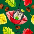 Watercolor illustration. pattern hedgehog, umbrella and autumn leaves