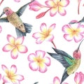 Watercolor illustration. Seamless pattern hummingbird and pink plumeria flowers. Exotic tropical bird. Isolated on a Royalty Free Stock Photo