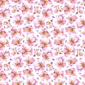 Watercolor seamless pattern of pink flowers on white background. Royalty Free Stock Photo