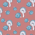 Illustration toxic mushrooms with blue cap on pink background