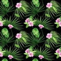 Watercolor illustration seamless pattern of tropical leaves and flower hibiscus. Perfect as background texture, wrapping paper, Royalty Free Stock Photo