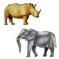 Watercolor illustration set. African tropical animals hand-drawn in watercolor. Rhino, elephant Royalty Free Stock Photo