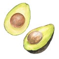 Watercolor illustration of set of appetizing green sliced hass avocados with pit, isolated
