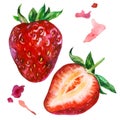 Watercolor illustration, set. Big strawberry, sliced strawberry
