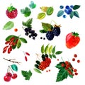 Watercolor illustration of a set different berries image. transparent shades. Labels, background, card, pattern