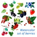 Watercolor illustration of a set of different berries image. transparent watercolor different shades. Labels, background, card, pa