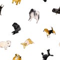 Watercolor illustration set of dogs, seamless pattern isolated Royalty Free Stock Photo