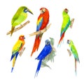 Watercolor illustration of set exotic parrots collection Royalty Free Stock Photo