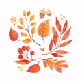 Watercolor illustration. Set of fall leaves, acorns, berries. Forest design elements. Hello Autumn! Perfect for seasonal