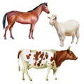 Watercolor illustration, set. Farm animals, cow, horse, goat