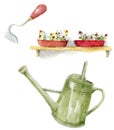 Watercolor illustration set of home gardening composition with wooden, flower box on shelf, plants chopper and watering can