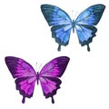 Watercolor illustration, set, image of colored transparent butterflies.