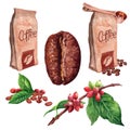 watercolor set of a package whith roasted coffee and red coffee beans whith leaves