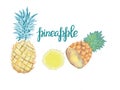 Watercolor illustration set with pineapple