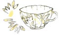 Watercolor illustration set of porcelian cup with a muted yellow color black-and-white sketch made by hand