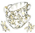 Watercolor illustration set of porcelian cups with a muted yellow color black-and-white sketch made by hand