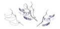 Watercolor illustration set of purple bean pods isolated on a white background. for invitation templates