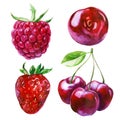 Watercolor illustration, set. Raspberries, strawberries, cherries, cherry berries on a branch Royalty Free Stock Photo