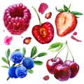 Watercolor illustration, set. Raspberry, half strawberry, half of the cherries, pit cherries, cherries on a branch, blueberries on Royalty Free Stock Photo