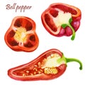 Watercolor illustration, set. Red pepper. Half a bell pepper Royalty Free Stock Photo