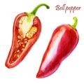 Watercolor illustration, set. Red pepper. Half a bell pepper Royalty Free Stock Photo