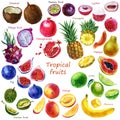 Watercolor illustration of a set of tropical fruits. Pitahaya, coconut, pineapple, fig, papaya, banana, passion fruit, mango,