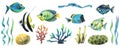 Watercolor illustration set with various tropical fish, algae, corals and sea sponges. Bright, juicy. For decoration and Royalty Free Stock Photo