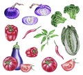 Watercolor illustration, set vegetables on isolated white background.