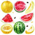 Watercolor illustration, set. Watermelon, half a watermelon, a piece of watermelon, a slice of watermelon, melon, half melon, a pi