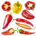 Watercolor illustration, set. Yellow and red bell pepper. Half a bell pepper. Red hot pepper. Half chili pepper