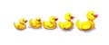 watercolor illustration of a set of yellow rubber bath ducks on a white background. isolated Royalty Free Stock Photo