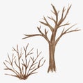 Watercolor Illustration sketch of dead tree without leaves. Winter, autumn, spring seasons brown trees isolated on white Royalty Free Stock Photo