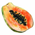 A watercolor illustration of a slice of papaya, with the vibrant orange flesh and black seeds,