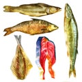 Watercolor illustration. Smoked dried fish of different types Royalty Free Stock Photo